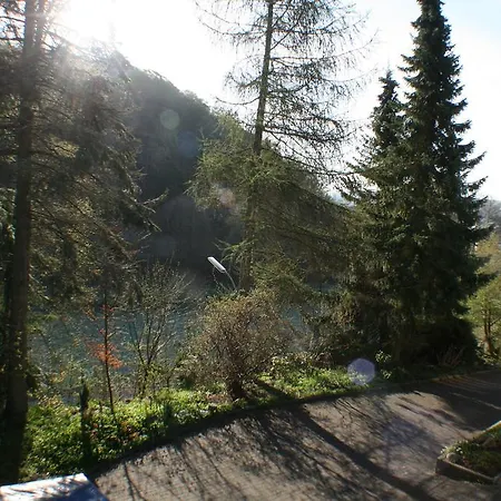 Appartement Ferienwohnung Am Wehlenbach *